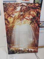 Canvas Schilderijen - Natuur, Bos, Dieren, Ophalen, 50 tot 75 cm, Nieuw, Schilderij