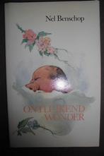 Nel Benschop: ontluikend wonder, Boeken, Ophalen of Verzenden, Zo goed als nieuw, Christendom | Protestants