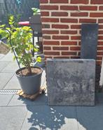 6 nieuwe terrastegels 60x60x4 cm + 1 opsluitband, Tuin en Terras, Ophalen, Nieuw, Beton, Terrastegels