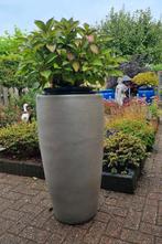 Hoge, 90 cm, terracotta plantenbak tuinvaas, Ophalen, Tuin, Steen, Gebruikt