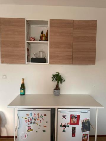 Mooi blad (koelkastjes eronder zijn apart) Ikea