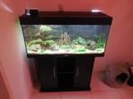 juwel rio 180 aquarium kast combinatie, Ophalen, Gebruikt, Gevuld zeewateraquarium