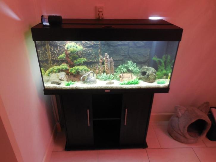 juwel rio 180 aquarium kast combinatie, Dieren en Toebehoren, Vissen | Aquaria en Toebehoren, Gebruikt, Gevuld zeewateraquarium