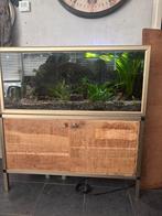 Aquarium met alle toebehoren, Dieren en Toebehoren, Vissen | Aquaria en Toebehoren, Ophalen, Gebruikt, Gevuld zoetwateraquarium