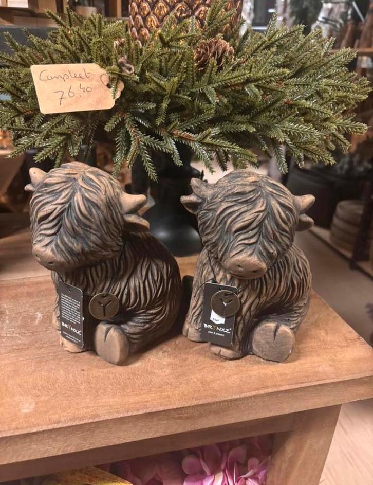 Hooglander (Scotty ) brynxz, Tuin en Terras, Tuinbeelden, Nieuw, Dierenbeeld, Beton, Ophalen