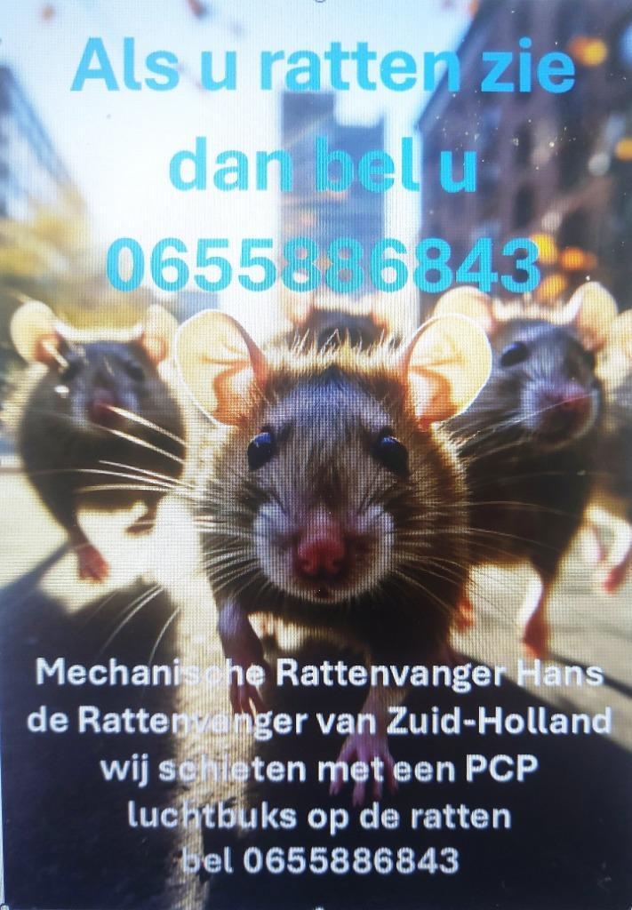 Ongediertebestrijding Zuid-Holland, Diensten en Vakmensen, Overige Diensten