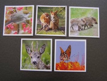 Natuurkaarten: Pieter van Vollenhoven, Fonds Slachtofferhulp beschikbaar voor biedingen