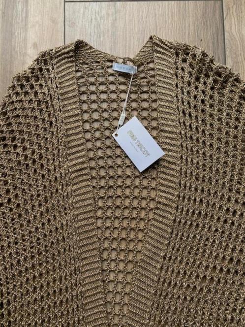 Made in Italy Vest Goud/Lurex Nieuw, Kleding | Dames, Truien en Vesten, Nieuw, Maat 38/40 (M), Overige kleuren, Ophalen of Verzenden