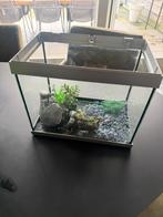 Aquarium 36x23x29cm lxbxh, Dieren en Toebehoren, Ophalen of Verzenden, Zo goed als nieuw, Leeg aquarium