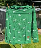 Trut trui, Kleding | Dames, Truien en Vesten, Ophalen of Verzenden, Zo goed als nieuw, Maat 38/40 (M), Groen