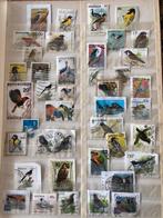 Blz verschillende vogels, Ophalen of Verzenden, Dier of Natuur