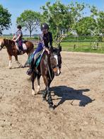 Bijrijd pony/paard gezocht, Dieren en Toebehoren, Ophalen of Verzenden, Zo goed als nieuw