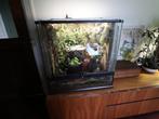 2x Exo Terra 60x45x60 met mooie planten, Dieren en Toebehoren, Ophalen, Gebruikt, Terrarium of Paludarium