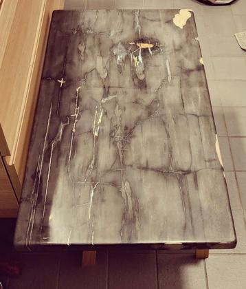 Nieuwe boomstam tafelblad van versteend hout beschikbaar voor biedingen