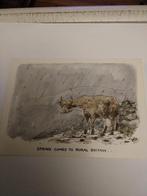 BESLEY /  SPRING COMES TO RURAL BRITAIN..., Ophalen of Verzenden