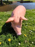 Varkens, Ophalen, Nieuw, Kunststof, Dierenbeeld