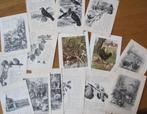 15 oude plaatjes van Cornelis Jetses uit Planten en Dieren, Boeken, Ophalen of Verzenden, Zo goed als nieuw, Cornelis Jetses, Plaatjesalbum