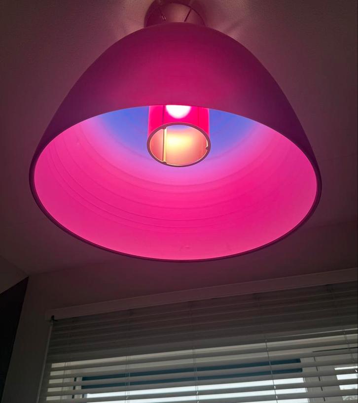 Plafond lamp “co van der Horst “, Huis en Inrichting, Lampen | Plafondlampen, Ophalen