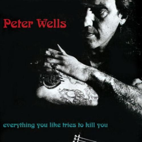 Peter Wells – Everything You Like Tries To Kill You, Cd's en Dvd's, Vinyl | Country en Western, Ophalen of Verzenden