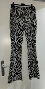 Pescara zebraprint flair maat xxl nieuw, Kleding | Dames, Broeken en Pantalons, Nieuw, Ophalen of Verzenden