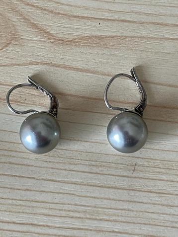 Oorbellen Hanger. zilverkleur. beschikbaar voor biedingen