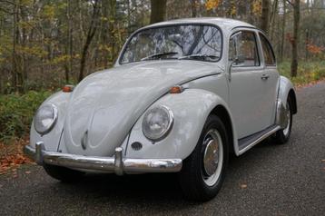Volkswagen Kever 1200 uit 1966 beschikbaar voor biedingen