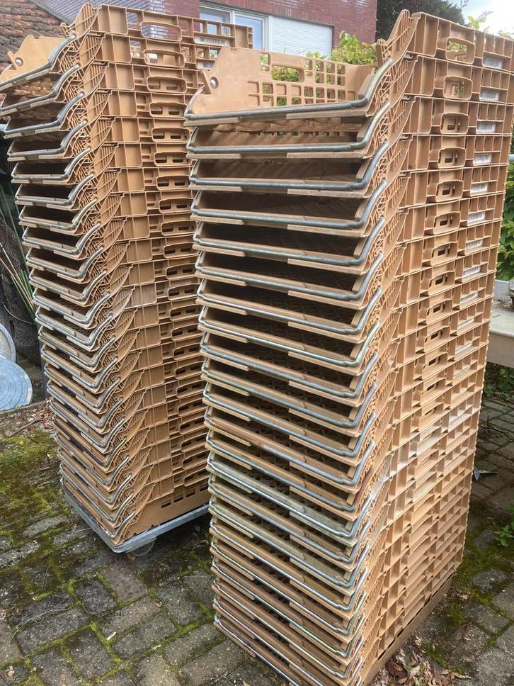 Broodkratten, bakkerskratten, 40 stuks, Doe-het-zelf en Verbouw, Kratten en Dozen, Gebruikt, Krat, Minder dan 35 cm, 60 cm of meer