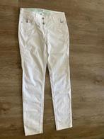 Nieuw Sierlijke Broek Cecil, maat 27 en MEER BROEKEN FOTO,S, Ophalen of Verzenden, Zo goed als nieuw, Maat 34 (XS) of kleiner