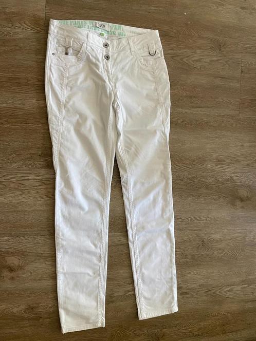 Nieuw Sierlijke Broek Cecil, maat 27 en MEER BROEKEN FOTO,S, Kleding | Dames, Broeken en Pantalons, Zo goed als nieuw, Maat 34 (XS) of kleiner