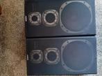 Sony box 100 watt 2 stuks., Ophalen of Verzenden, Gebruikt