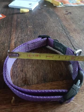 honden halsband beschikbaar voor biedingen