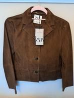Zara Dames Leren Suède Jack - Nieuw!, Bruin, Zara, Nieuw, Ophalen of Verzenden