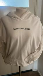 Trui/hoodie CK maat s, Ophalen of Verzenden, Zo goed als nieuw