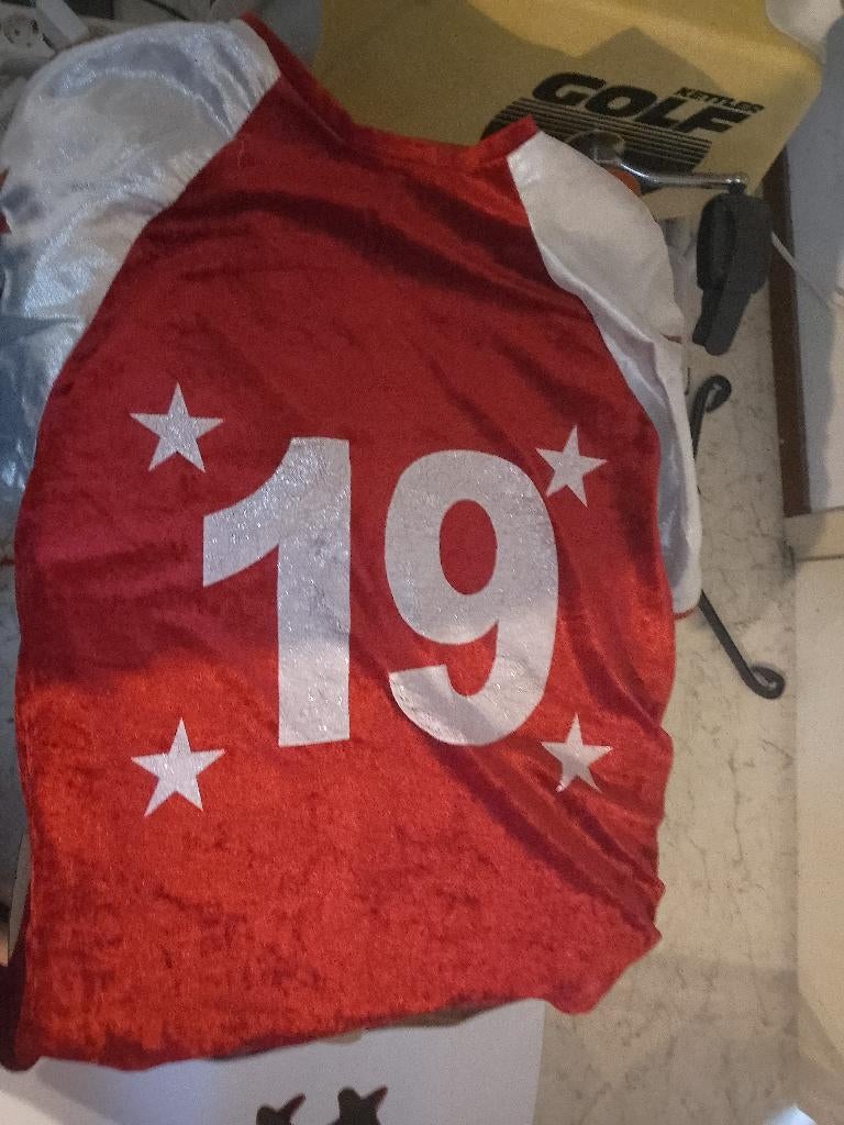 Rugby pak maat 52 (L/XL) (carnaval)  Volwassenen., Ophalen of Verzenden, Zo goed als nieuw, Maat 52/54 (L)