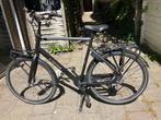 CORTINA COMMON N7 Herenfiets, Fietsen en Brommers, Fietsen | Heren | Herenfietsen, Versnellingen, Zo goed als nieuw, 61 tot 65 cm