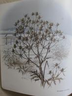 borduren Riet wilde berm weide bloemen PATROON, Hobby en Vrije tijd, Borduren en Borduurmachines, Ophalen of Verzenden, Zo goed als nieuw