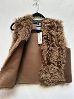 Bodywarmer gilet vest 38 €625 nu €125, Kleding | Dames, Ophalen of Verzenden, Zo goed als nieuw, Maat 38/40 (M), Bruin