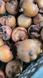 mispels, Ophalen of Verzenden