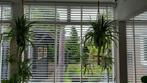 50mm houten jaloezieën - LinDesign (7 stuks), Huis en Inrichting, Stoffering | Gordijnen en Lamellen, Ophalen, Wit, 50 tot 100 cm