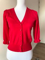 Plein Publique vestje rood maat XS nieuw, Kleding | Dames, Nieuw, Plein Publique, Ophalen of Verzenden, Maat 34 (XS) of kleiner