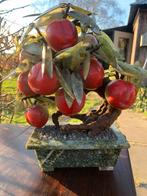 Chinese bonsai geluksboompje met jade vruchten, Ophalen of Verzenden