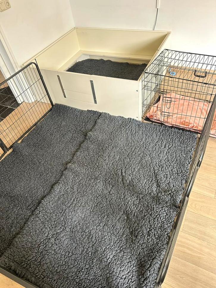 Te huur: Grote werpkist, ren, 5 vetbedden, camera, bench enz, Dieren en Toebehoren, Honden-accessoires, Zo goed als nieuw, Ophalen