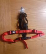 Hondentuig: Halti M en L (A227 - A105), Ophalen of Verzenden, Gebruikt
