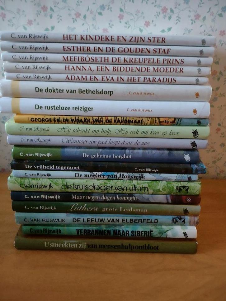 Diverse boeken- C van Rijswijk, Boeken, Kinderboeken | Jeugd | 10 tot 12 jaar, Gelezen, Ophalen of Verzenden