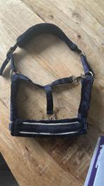 Halster QHP, Ophalen of Verzenden, Nieuw, Overige soorten