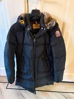 Nieuw: parajumpers winterjas zwart dames maat S/M, Kleding | Dames, Jassen | Winter, Maat 38/40 (M), Zwart, Nieuw, Parajumpers