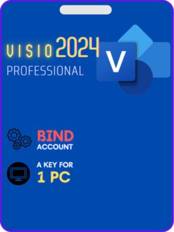 Visio 2024 Professional Pro  beschikbaar voor biedingen