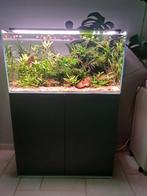 Oase scaperline 90 Aquarium, Dieren en Toebehoren, Vissen | Aquaria en Toebehoren, Ophalen, Zo goed als nieuw, Leeg aquarium