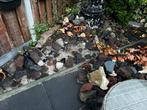 Lavastenen en keien voor bv. rotstuin, Tuin en Terras, Ophalen, Zo goed als nieuw, Overige materialen