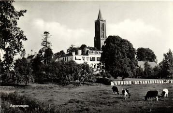 Amerongen - gezicht op kerk en Oranjestein - koeien - 1962 g beschikbaar voor biedingen